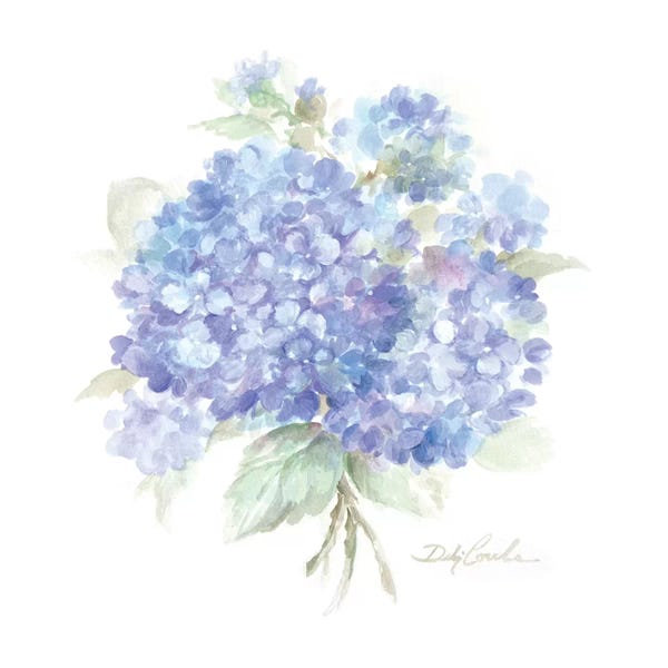 Shabby Chic Décor: Hydrangeas I by Debi Coules
