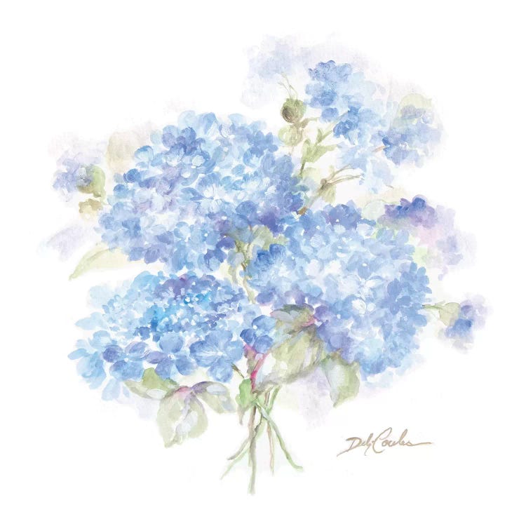 Hydrangeas II