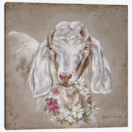 Goat With Wreath Canvas Print #DEB15} by Debi Coules Canvas Print