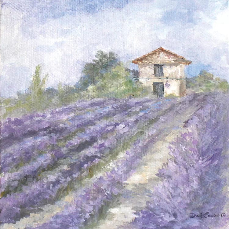 Lavender Fields