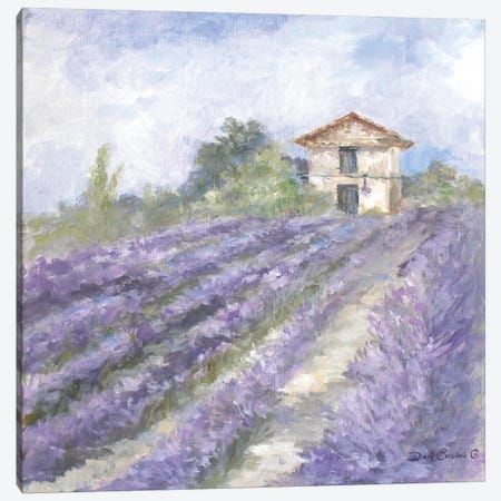 Lavender Fields Canvas Print #DEB16} by Debi Coules Canvas Print