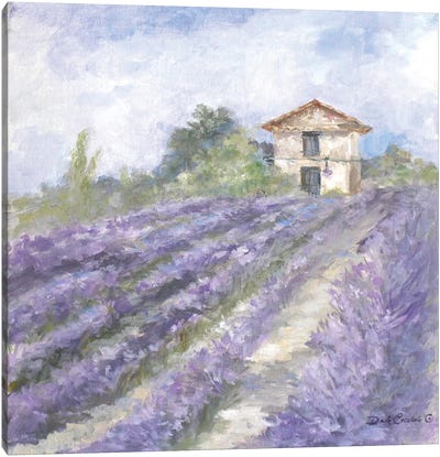 Lavender Fields Canvas Art Print - Herb Art