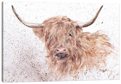 Bad Hair Day Canvas Art Print - Highland Cow Art