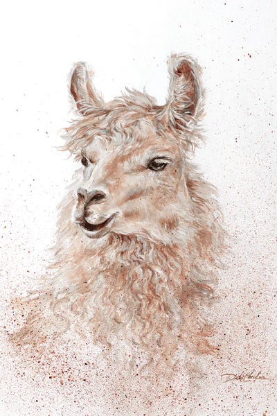 No Drama Llama by Debi Coules metal wall art