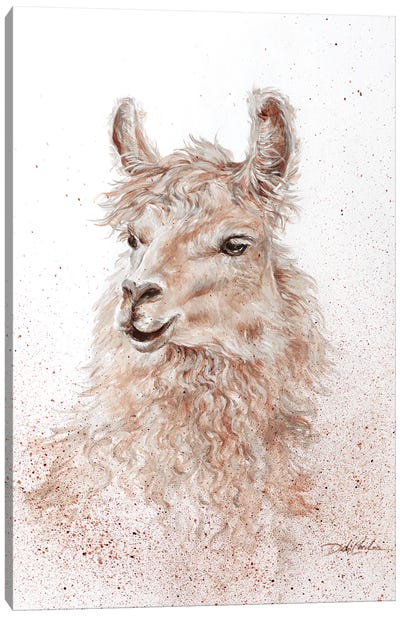 No Drama Llama Canvas Art Print - Debi Coules Farm Animals