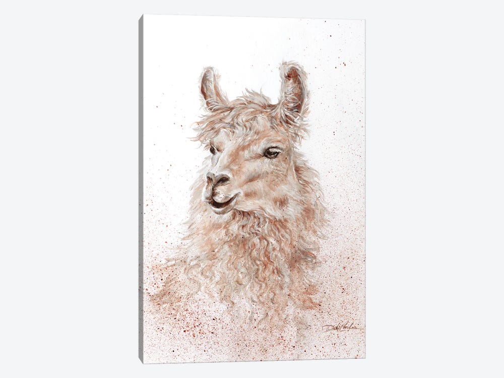 No Drama Llama by Debi Coules 1-piece Canvas Art Print