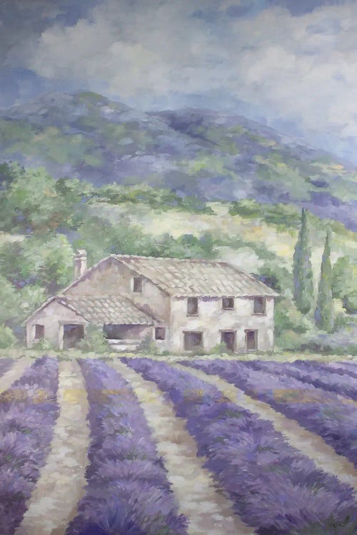 French Lavender Fields by Debi Coules wall art