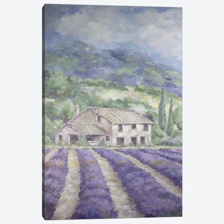 French Lavender Fields Canvas Print #DEB208} by Debi Coules Canvas Artwork