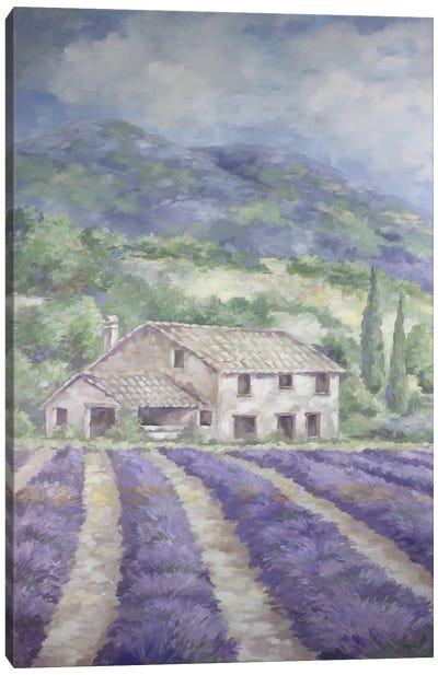 French Lavender Fields Canvas Art Print - Lavender Art