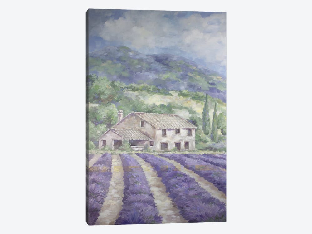 French Lavender Fields by Debi Coules 1-piece Canvas Wall Art
