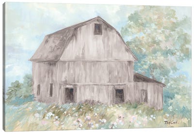 Beautiful Day on the Farm Canvas Art Print - Debi Coules