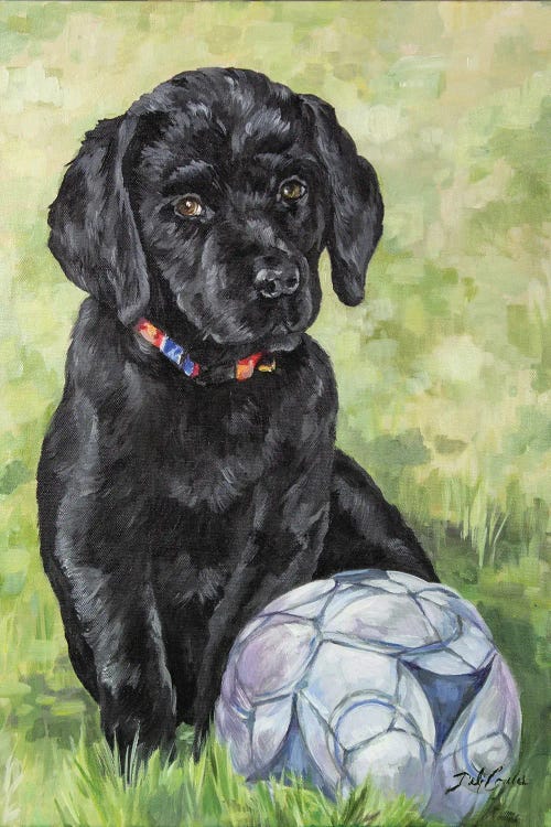 Soccer Lab by Debi Coules wall art