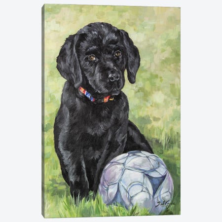 Soccer Lab Canvas Print #DEB233} by Debi Coules Art Print