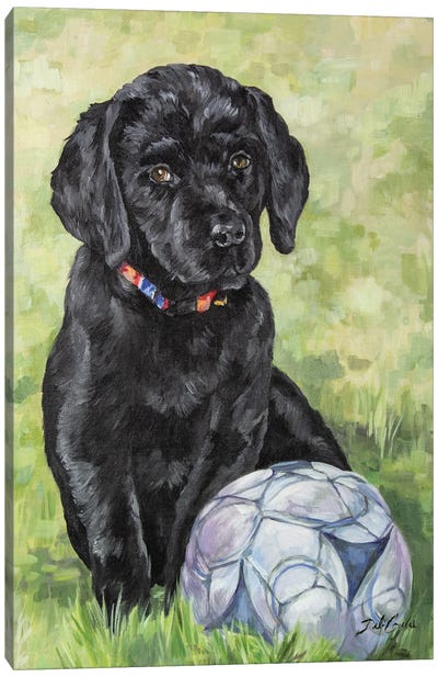 Soccer Lab Canvas Art Print - Debi Coules