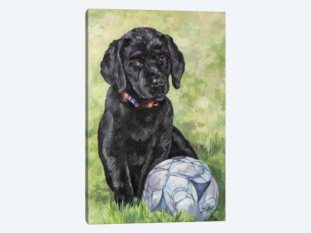 Soccer Lab by Debi Coules 1-piece Canvas Wall Art