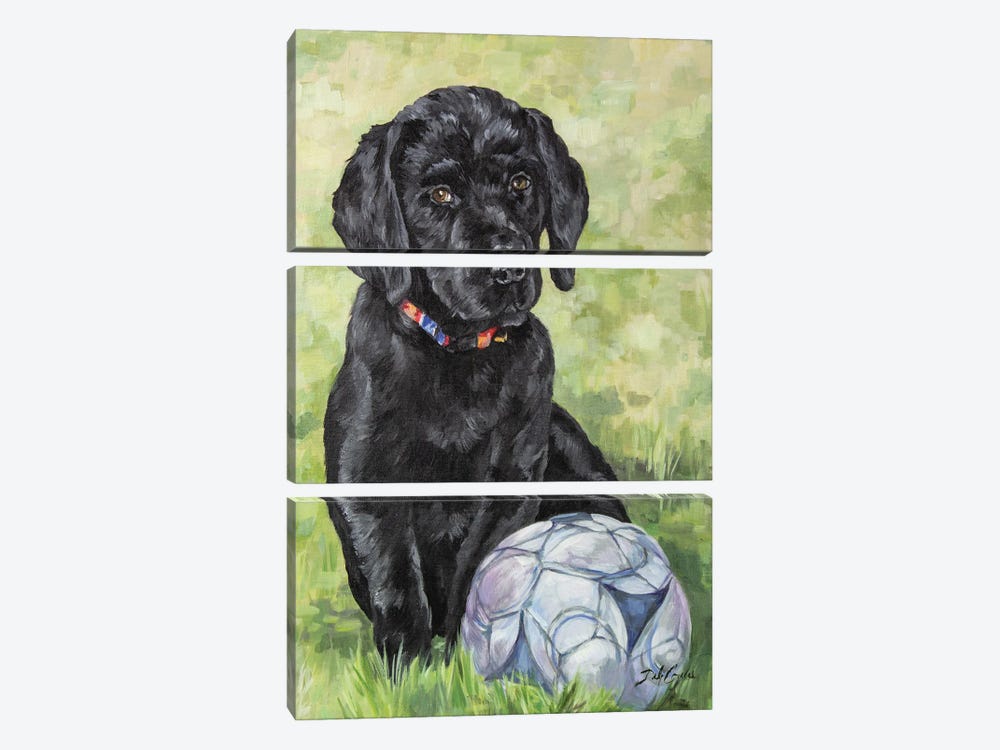 Soccer Lab by Debi Coules 3-piece Canvas Artwork