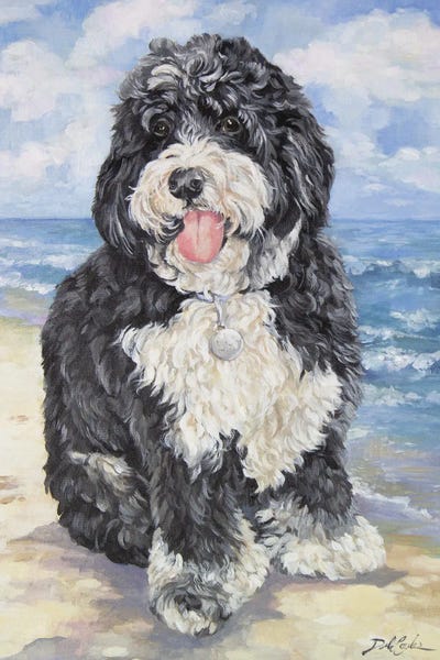 Bernese Mountain Dogs: Beach Doodle by Debi Coules