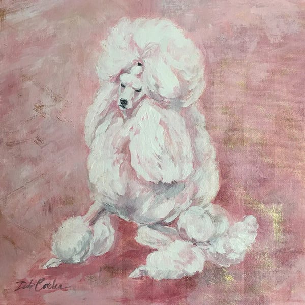 Debi Coules: French Poodle by Debi Coules
