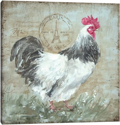 Parisian Postmarked Rooster I Canvas Art Print - Debi Coules Farm Animals