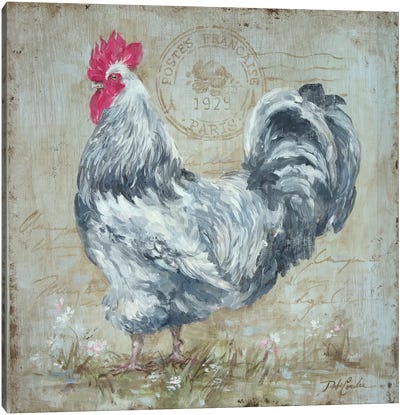 Parisian Postmarked Rooster II Canvas Art Print - Debi Coules Farm Animals