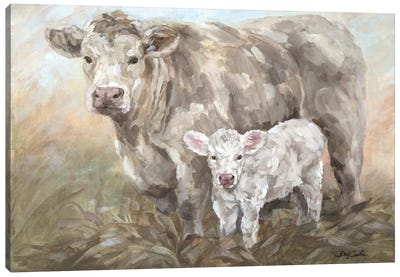 Sweet Pea Canvas Art Print - Cow Art
