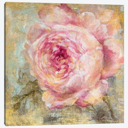 Rose Gold I Canvas Print #DEB85} by Debi Coules Canvas Art