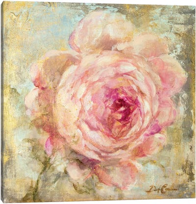 Rose Gold II Canvas Art Print - Vintage Décor