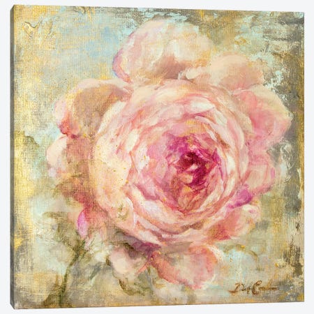 Rose Gold II Canvas Print #DEB86} by Debi Coules Canvas Wall Art