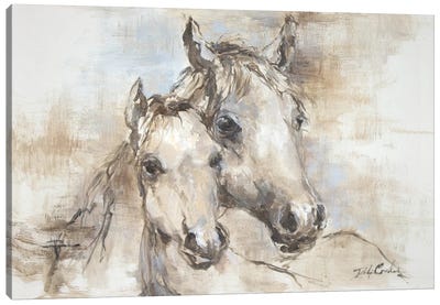 Comfort Canvas Art Print - Horse Art