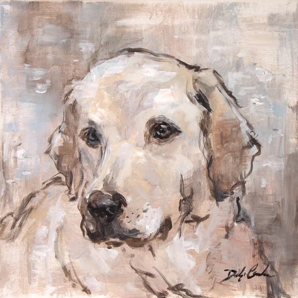 Shabby Chic Décor: Lovely Lab by Debi Coules