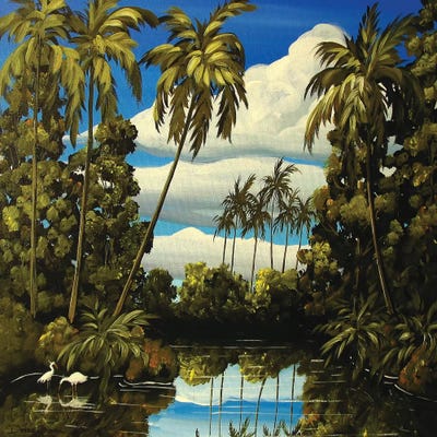 Tropical Lagoon by Debbie Criswell framed canvas print