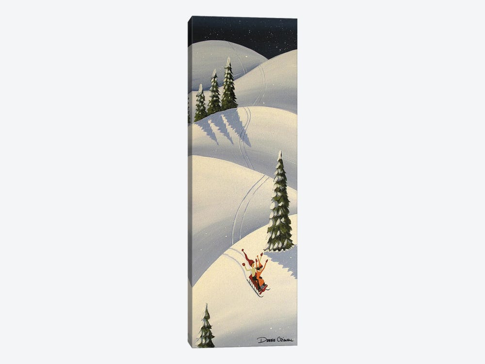 Downhill Fun by Debbie Criswell 1-piece Canvas Print