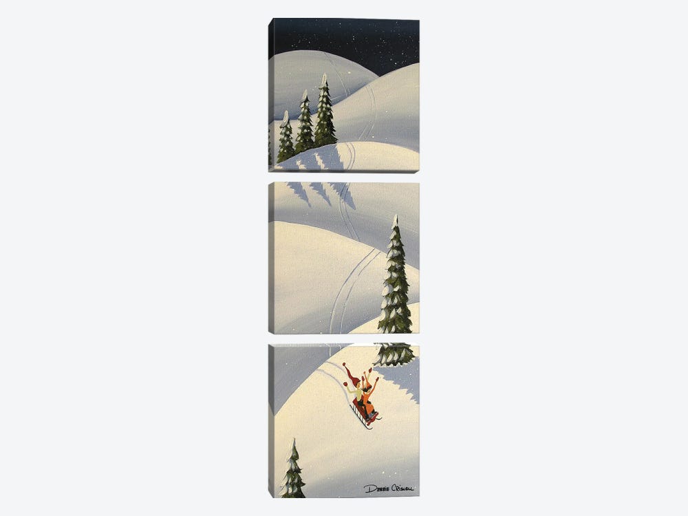 Downhill Fun by Debbie Criswell 3-piece Art Print