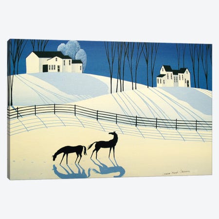 The Longest Shadows Of Winter Canvas Print #DEC174} by Debbie Criswell Canvas Artwork