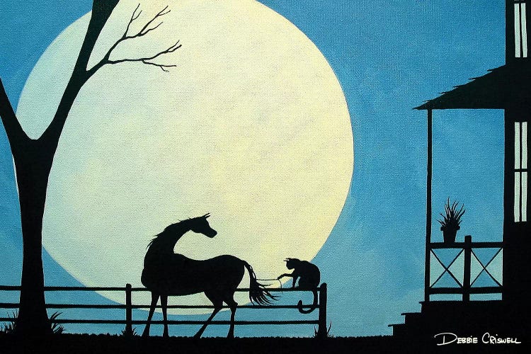 Cat Toy by Debbie Criswell wall art