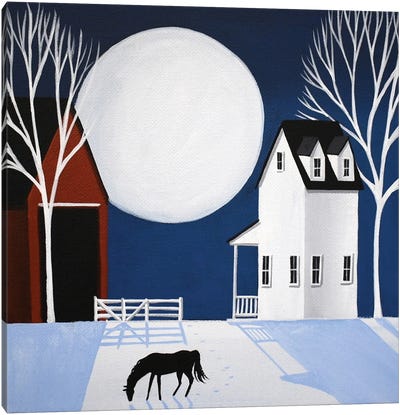 Winter Moon Canvas Art Print - Debbie Criswell