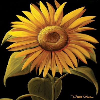 Giant Sunflower by Debbie Criswell framed canvas print
