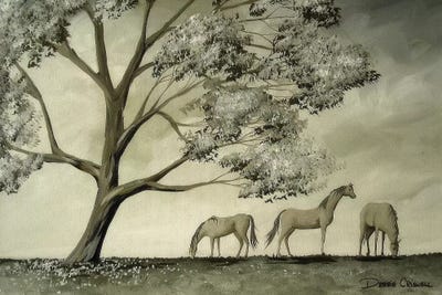 Serenity by Debbie Criswell framed canvas print