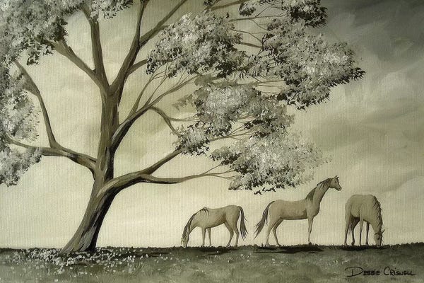 Debbie Criswell: Serenity by Debbie Criswell