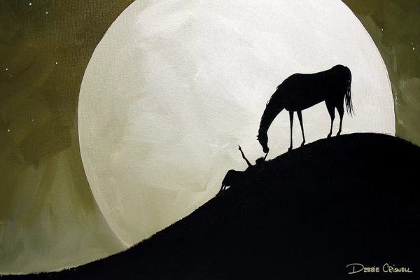 Night Sky: Star Gazing by Debbie Criswell