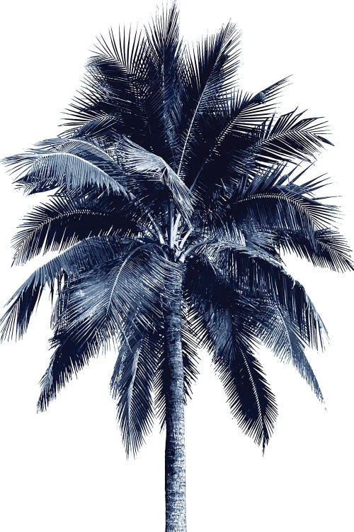 Blue Palm Tree I by Devon Davis wall art