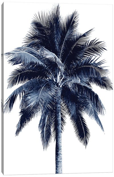 Blue Palm Tree I Canvas Art Print - Tropical Décor
