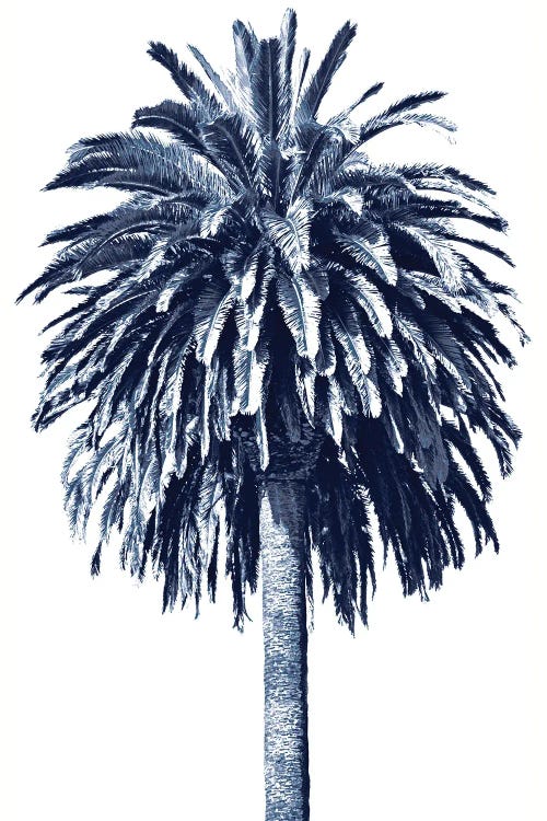 Blue Palm Tree II