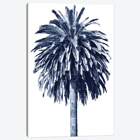 Blue Palm Tree II Canvas Print #DED12} by Devon Davis Canvas Wall Art