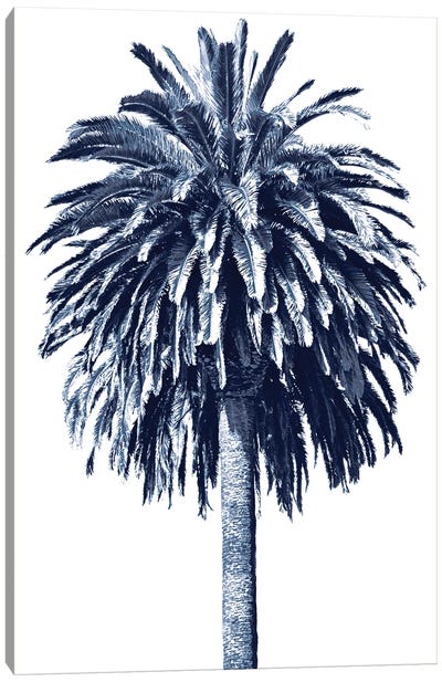 Blue Palm Tree II Canvas Art Print
