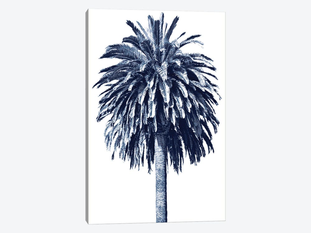 Blue Palm Tree II by Devon Davis 1-piece Canvas Art Print