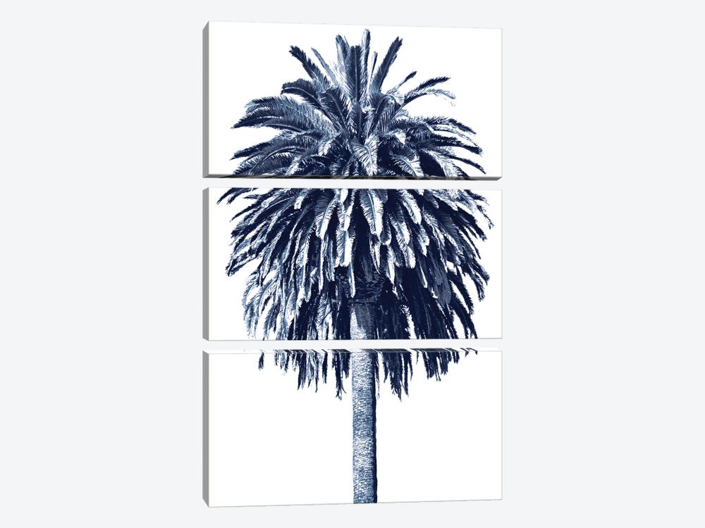 Blue Palm Tree II by Devon Davis 3-piece Art Print