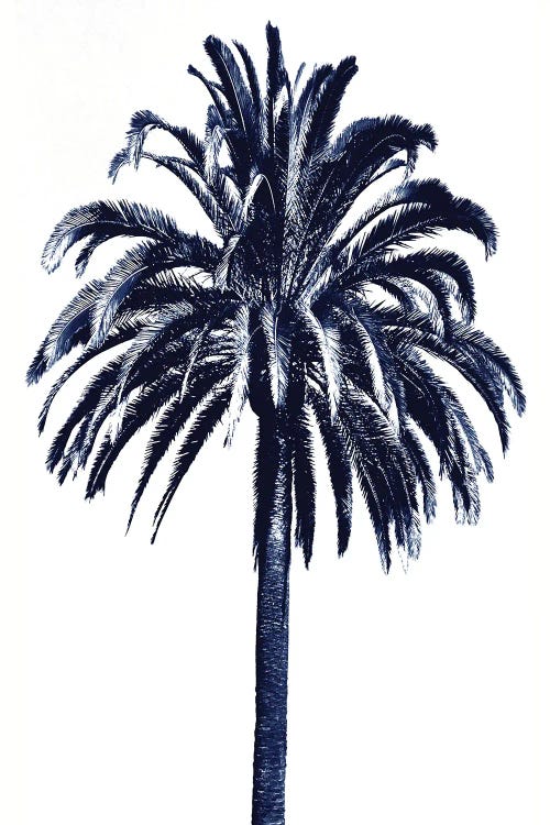 Blue Palm Tree III