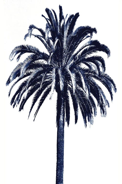 Blue Palm Tree III by Devon Davis wall art