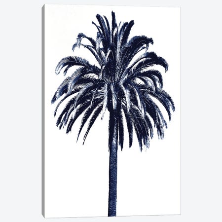 Blue Palm Tree III Canvas Print #DED13} by Devon Davis Canvas Artwork